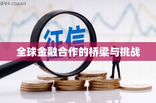 曲麻莱全球金融合作的桥梁与挑战