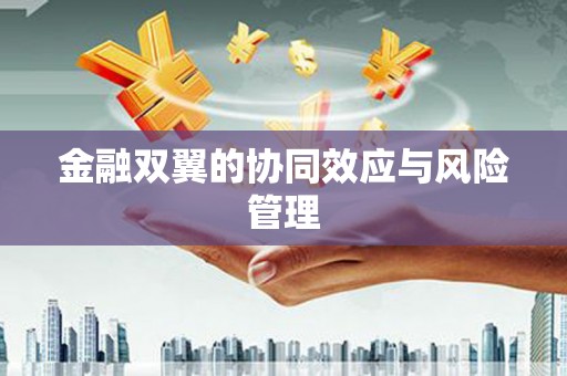 曲麻莱金融双翼的协同效应与风险管理