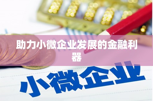 曲麻莱助力小微企业发展的金融利器