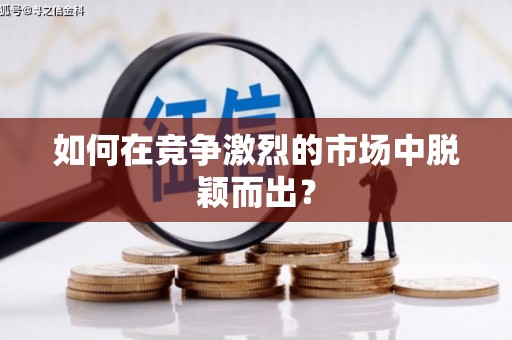 曲麻莱如何在竞争激烈的市场中脱颖而出？