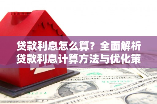 曲麻莱贷款利息怎么算？全面解析贷款利息计算方法与优化策略