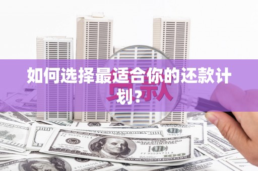 曲麻莱如何选择最适合你的还款计划？