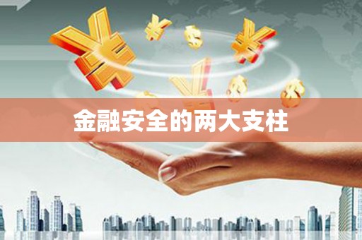 曲麻莱金融安全的两大支柱