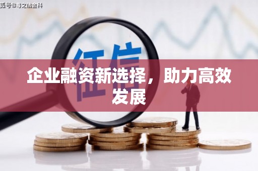 曲麻莱企业融资新选择，助力高效发展
