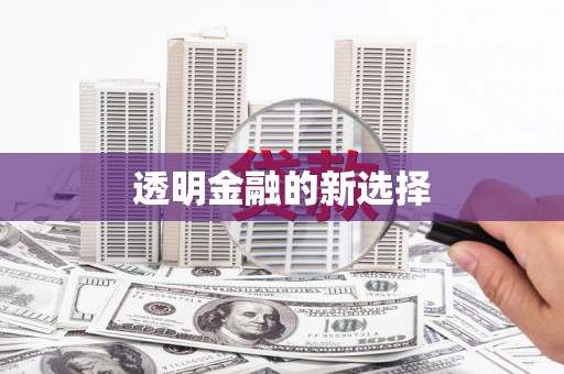 曲麻莱透明金融的新选择