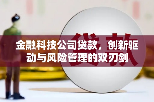 曲麻莱金融科技公司贷款，创新驱动与风险管理的双刃剑